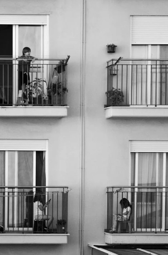 Control de plagues per a comunitats de veïns a Girona